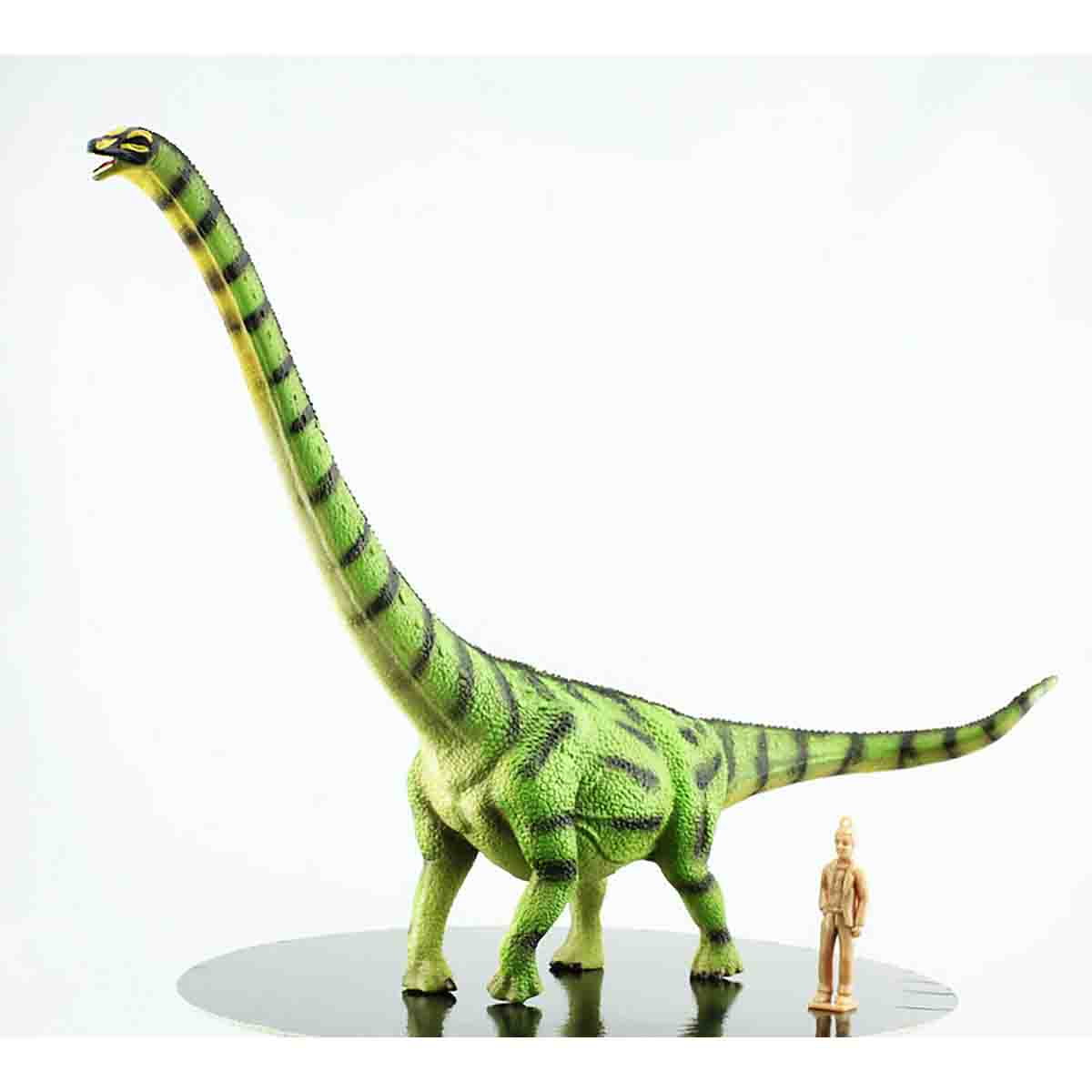 Đồ Chơi Mô Hình Động Vật Khủng Long Daxiatitan COLLECTA 88704