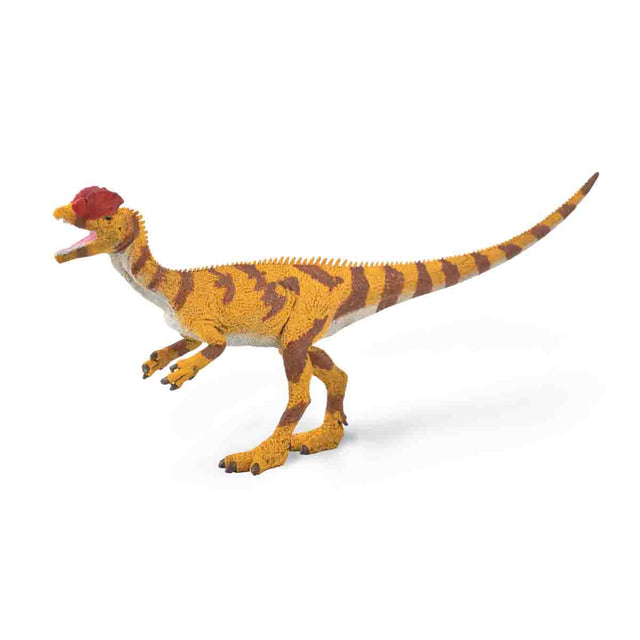 mo-hinh-dong-vat-khung-long-hai-mao-dilophosaurus-collecta-88923-01