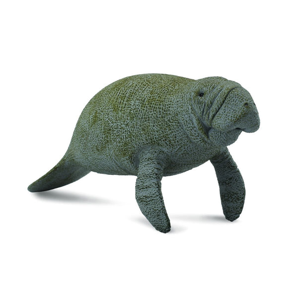 mo-hinh-dong-vat-lon-bien-manatee-collecta-88455-01