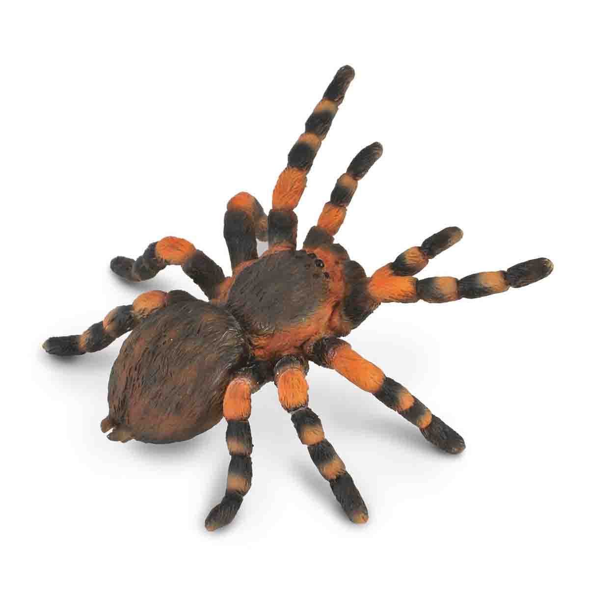 mo-hinh-dong-vat-nhen-tarantula-mexico-bo-cap-vang-collecta-89607-02
