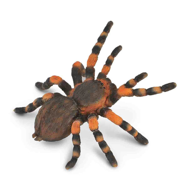 mo-hinh-dong-vat-nhen-tarantula-mexico-bo-cap-vang-collecta-89607-02