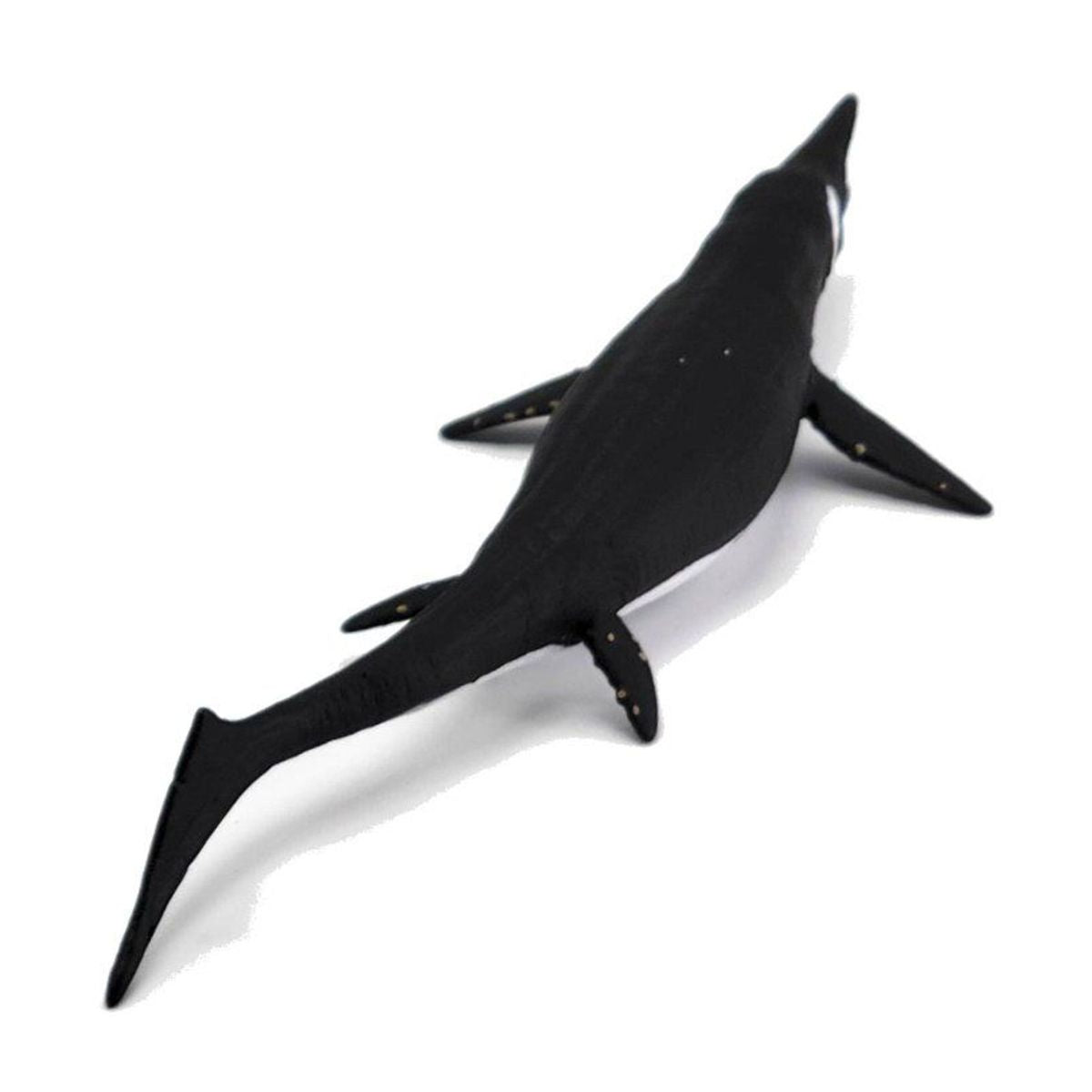 mo-hinh-dong-vat-than-lan-ca-shastasaurus-collecta-88974-03