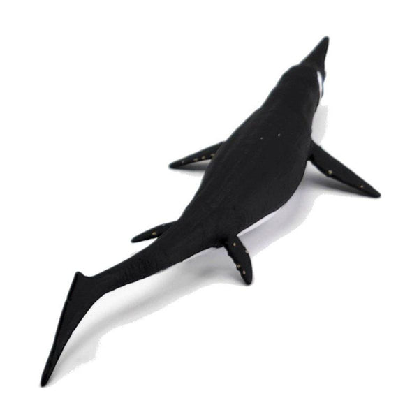 mo-hinh-dong-vat-than-lan-ca-shastasaurus-collecta-88974-03