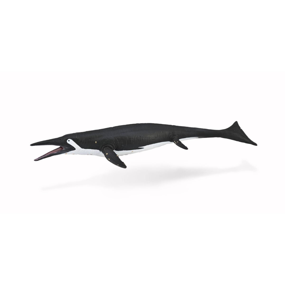 Đồ Chơi Mô Hình Động Vật Thằn Lằn Cá Shastasaurus COLLECTA 88974