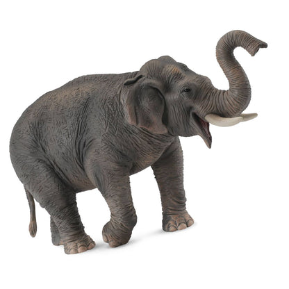 mo-hinh-dong-vat-voi-chau-a-collecta-88486-02