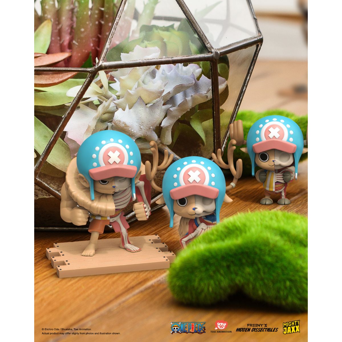 Đồ Chơi Mô Hình Freeny's Hidden Dissectibles : One Piece (Series 3) MIGHTY JAXX LND-22TAFHDOPS323