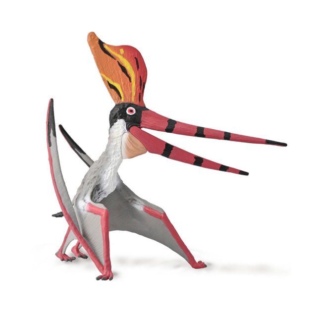 mo-hinh-than-lan-bay-pteranodon-sternbergi-collecta-88943-01
