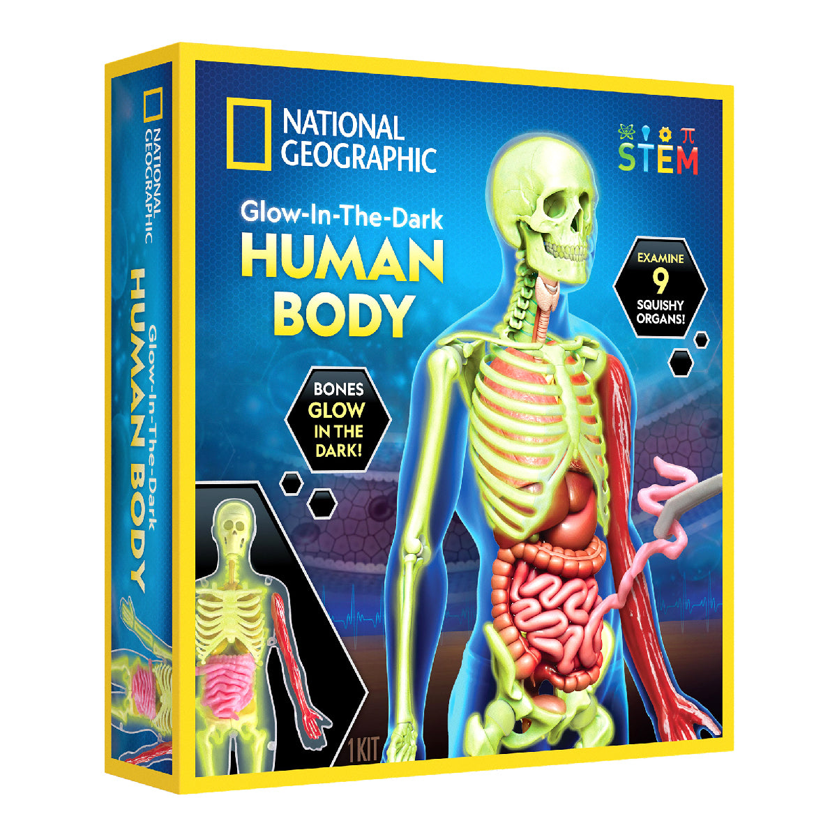 nat-geo-kham-pha-bo-phan-co-the-nguoi-steam-rthumbody-01