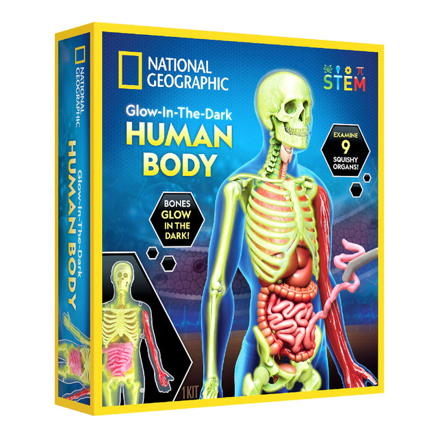 nat-geo-kham-pha-bo-phan-co-the-nguoi-steam-rthumbody-01