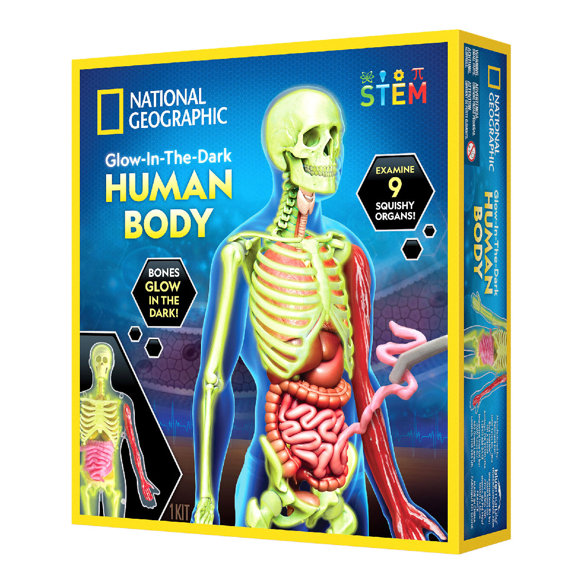 nat-geo-kham-pha-bo-phan-co-the-nguoi-steam-rthumbody-02