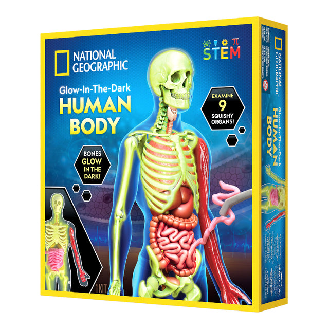 nat-geo-kham-pha-bo-phan-co-the-nguoi-steam-rthumbody-02