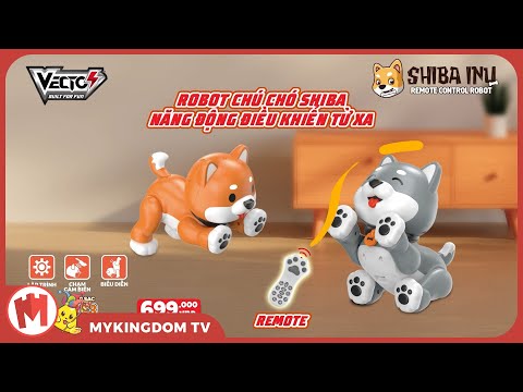 do-choi-robot-chu-cho-shiba-nang-dong-dieu-khien-tu-xa-nau-vecto-vtk47-br-05