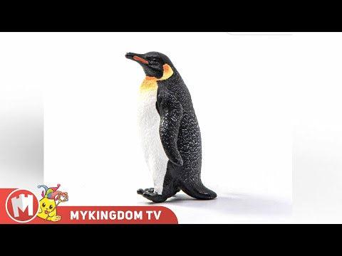 Chim cánh cụt hoàng gia | SCHLEICH 14841