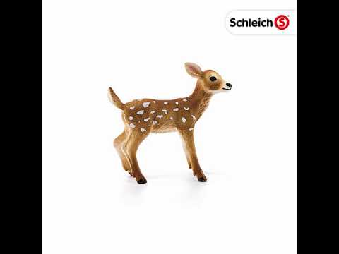 SCHLEICH Hươu đuôi trắng con 14820