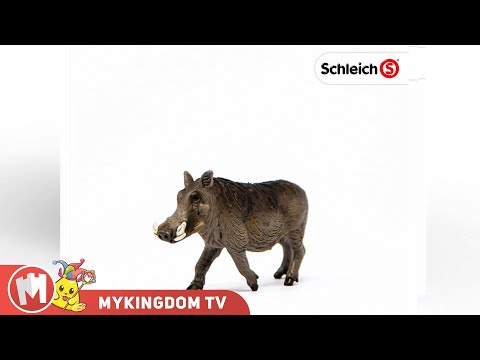 Lợn bướu | SCHLEICH 14843