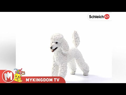 Chó Poodle | SCHLEICH 13917