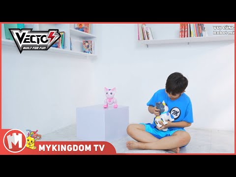 do-choi-robot-meo-con-thong-thai-dieu-khien-tu-xa-hong-vt2059-pin-04