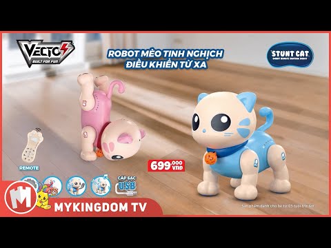 do-choi-robot-meo-tinh-nghich-dieu-khien-tu-xa-xanh-vtk31-bl-06