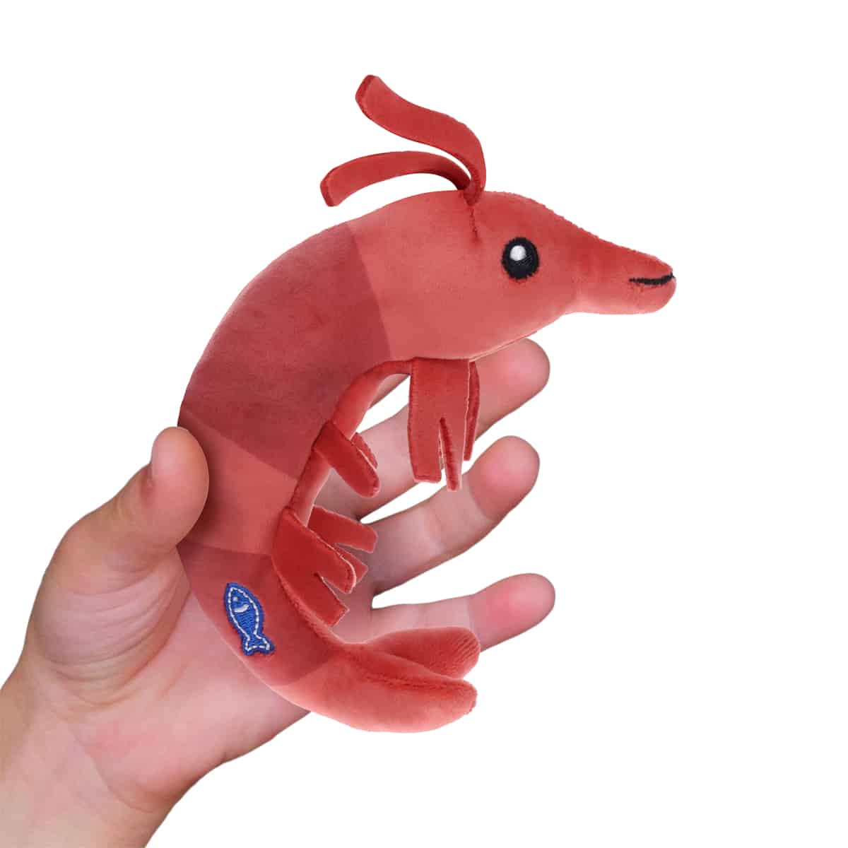 roblox-thu-nhoi-bong-bi-an-fisch-cp5900-032