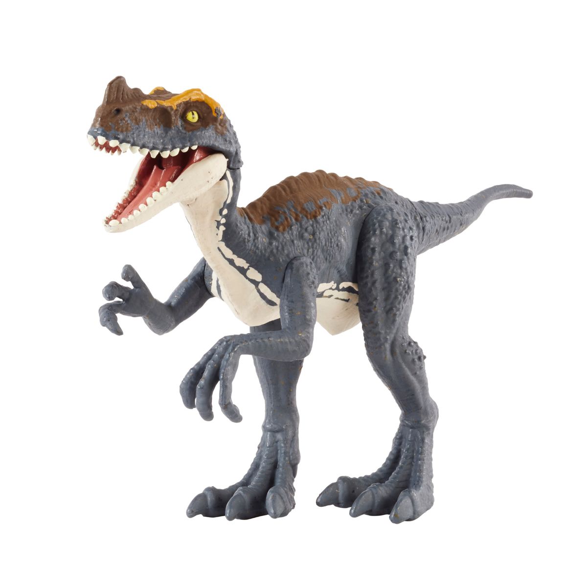 Đồ Chơi Mô Hình SaGa Khủng Long Proceratosaurus Có Khớp Linh Hoạt JURASSIC WORLD MATTEL JCL55/JGB72