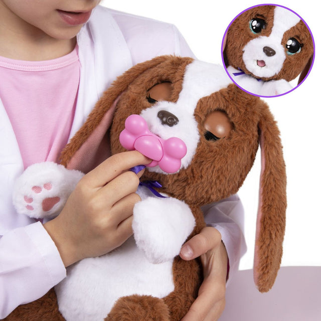 thu-cung-baby-paws-bac-si-thu-y-bp927681-09