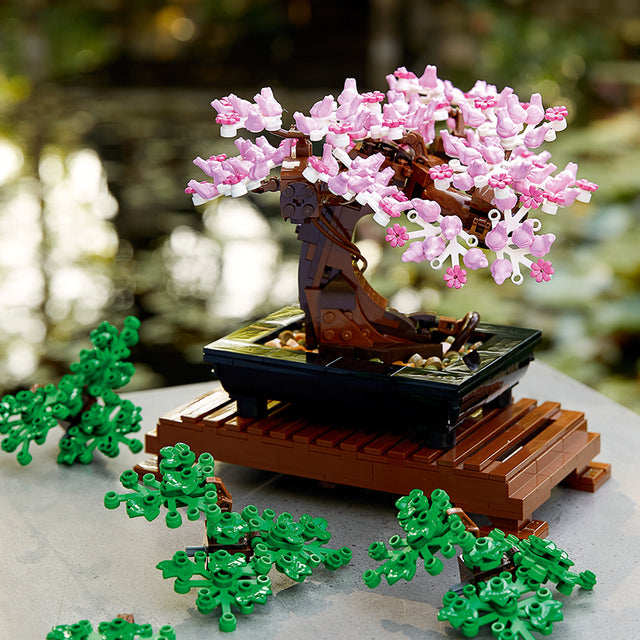 cay-bonsai-10281-08