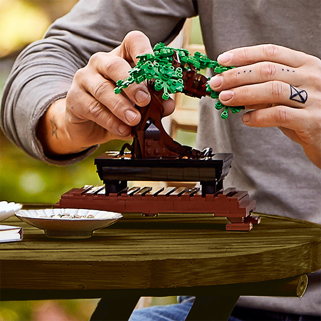 cay-bonsai-10281-05
