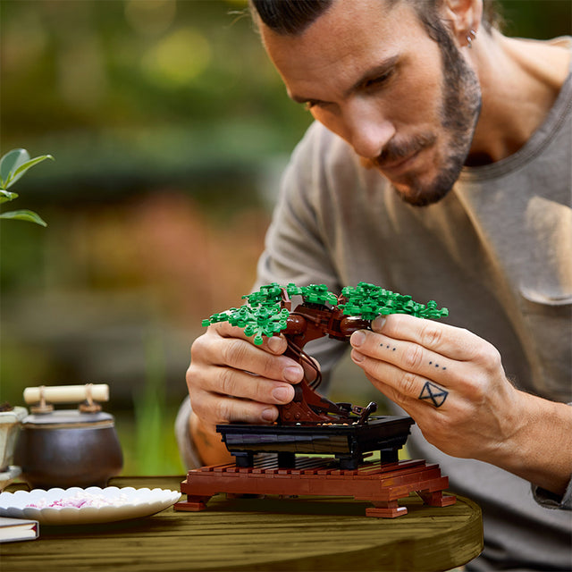 cay-bonsai-10281-04