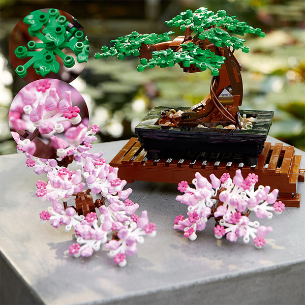 cay-bonsai-10281-09