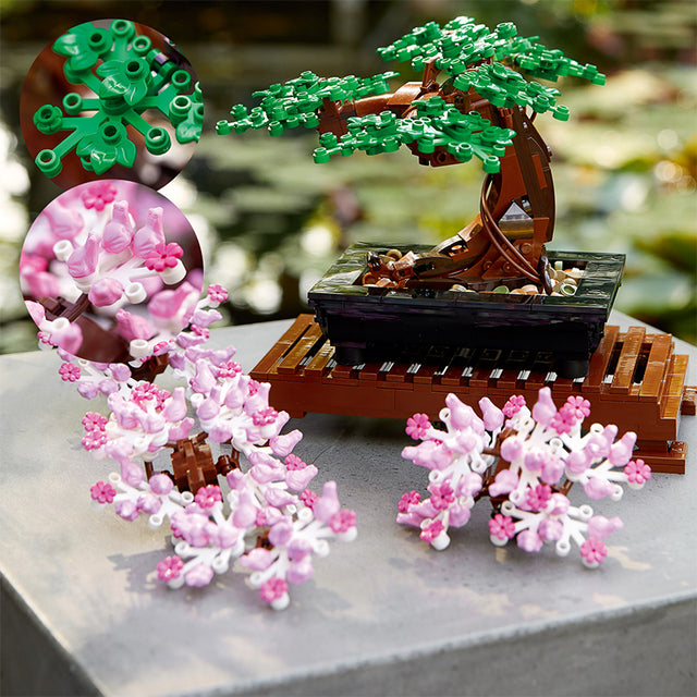cay-bonsai-10281-09