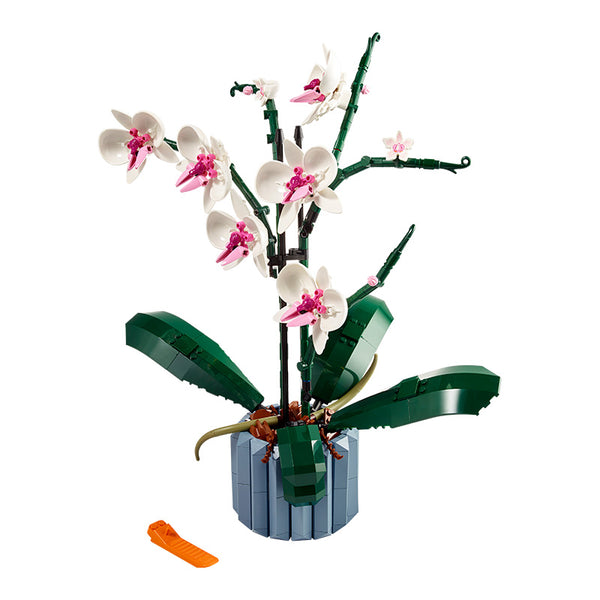 hoa-lan-lego-10311-04