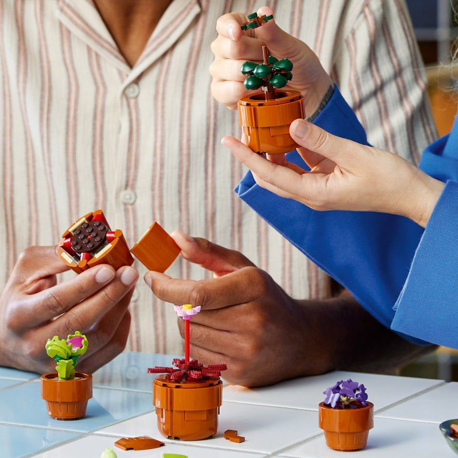 LEGO ADULTS 10329 cactus flower collection assembly toy