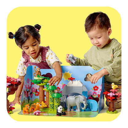 kham-pha-the-gioi-dong-vat-chau-a-10974-07