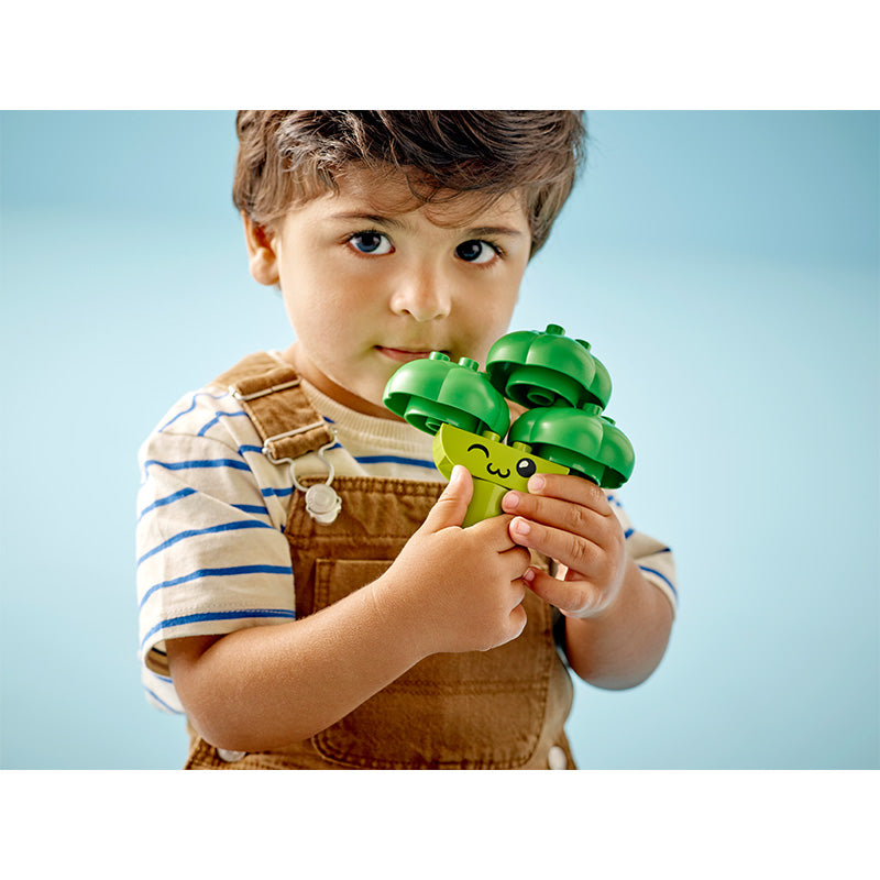 LEGO DUPLO 10982 Organic Vegetable Train Assembly Toy