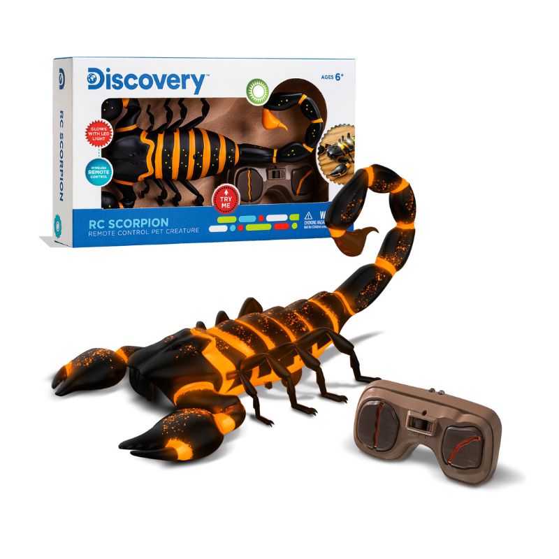 Bò Cạp Dung Nham Steam 1312007001