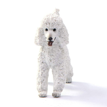 cho-poodle-13917-02