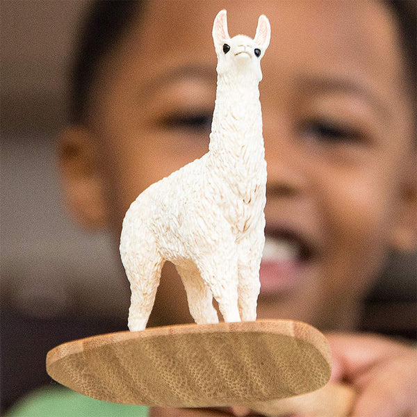 lac-da-khong-buou-llama-13920-06