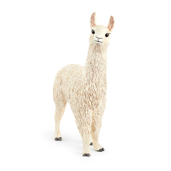 lac-da-khong-buou-llama-13920-05