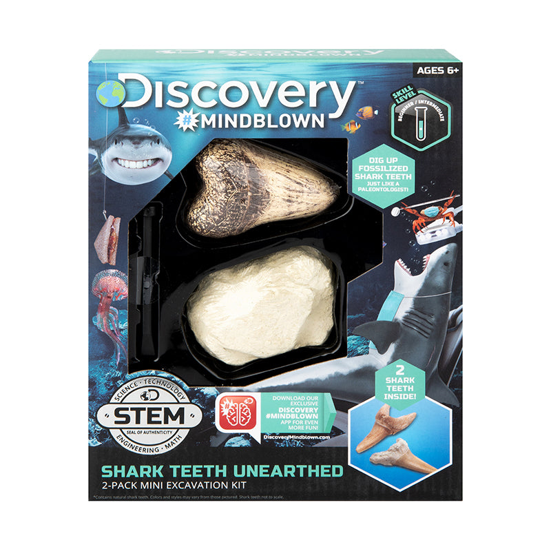 Bộ khảo cổ truy tìm răng cá mập 2pc STEAM 1423004791