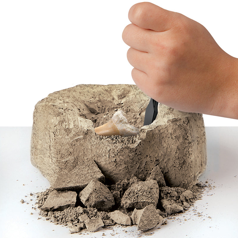 Bộ khảo cổ truy tìm răng cá mập 2pc STEAM 1423004791