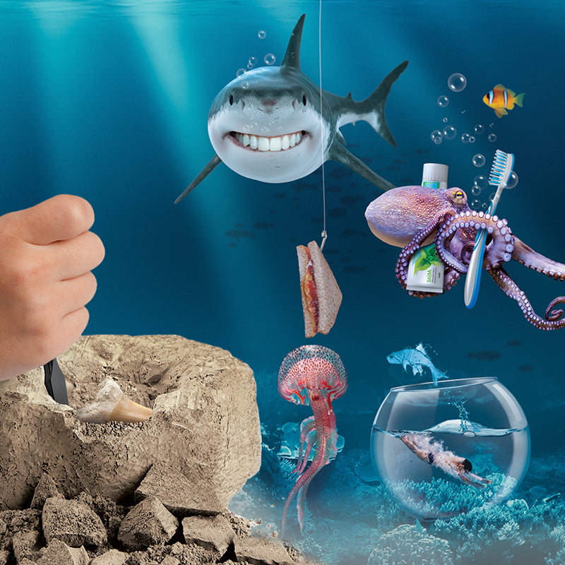 Bộ khảo cổ truy tìm răng cá mập 2pc STEAM 1423004791