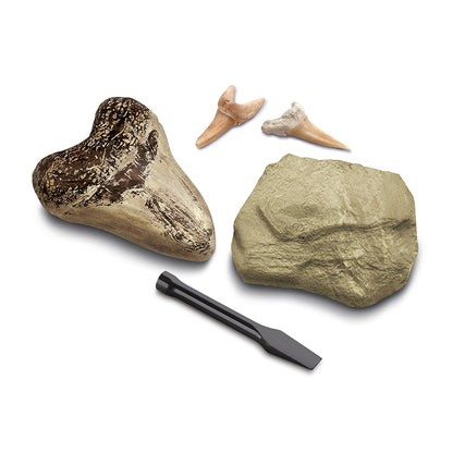 bo-khao-co-truy-tim-rang-ca-map-2pc-1423004791-07