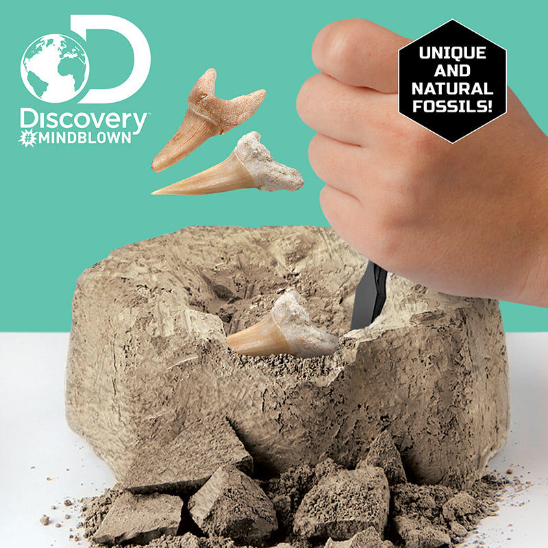 Bộ khảo cổ truy tìm răng cá mập 2pc STEAM 1423004791