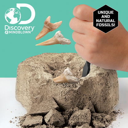 bo-khao-co-truy-tim-rang-ca-map-2pc-1423004791-08