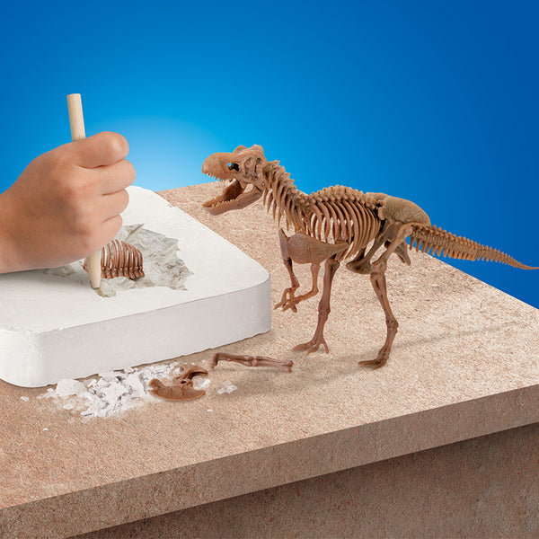 bo-khao-co-truy-tim-xuong-khung-long-t-rex-1423004871-07