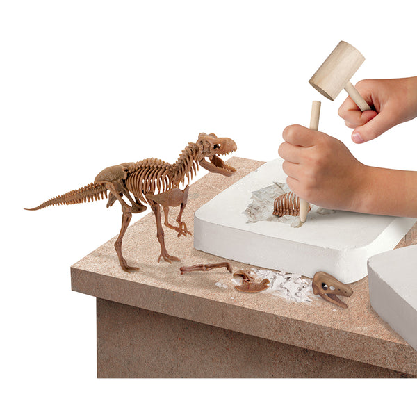 bo-khao-co-truy-tim-xuong-khung-long-t-rex-1423004871-010
