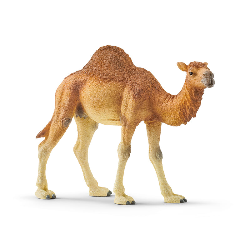 Đồ Chơi Mô Hình Lạc Đà Một Bướu SCHLEICH 14832