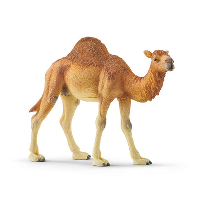 lac-da-mot-buou-14832-03