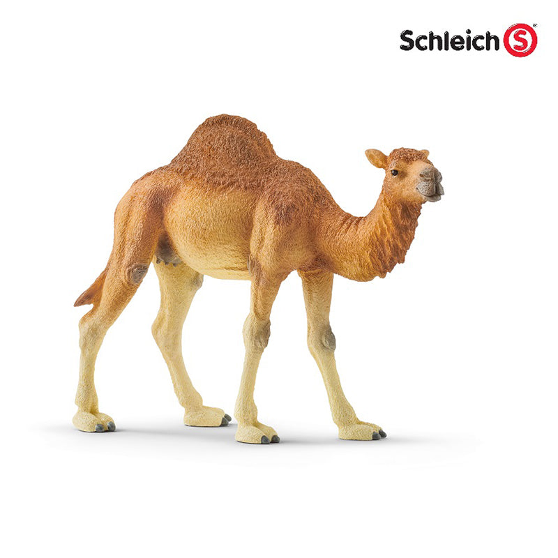 Đồ Chơi Mô Hình Lạc Đà Một Bướu SCHLEICH 14832