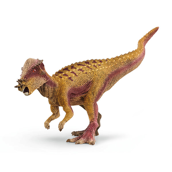 khung-long-pachycephalosaurus-15024-02